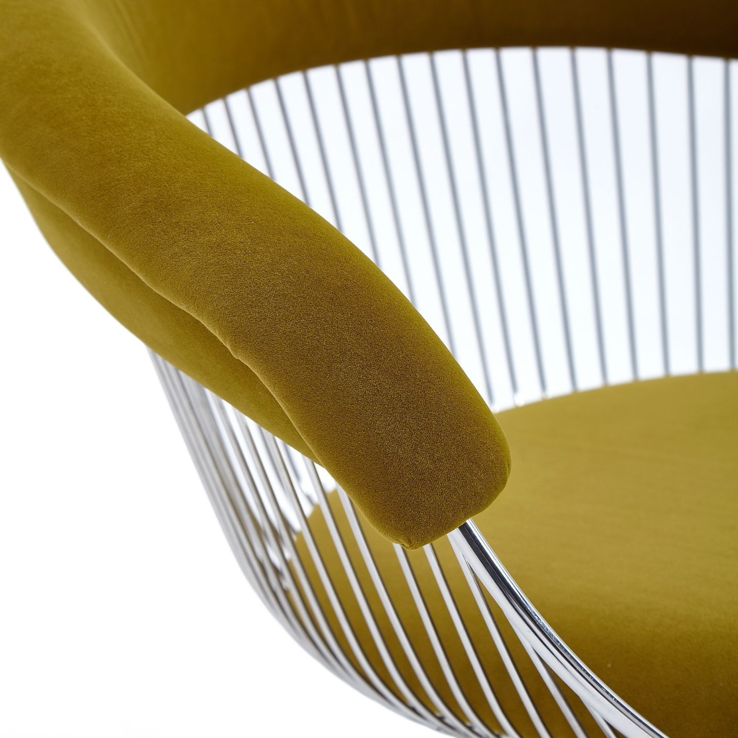 Groot Dining Chair - Mario Capasa